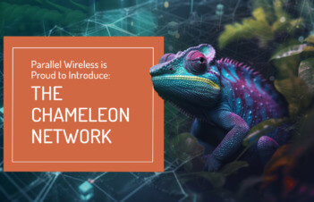 chameleon network